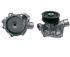 Deutz 02937438, 02931832 Водяний насос TCD4/6L2012 4/6V BF4/6M2013C