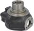 85805981 (149147) Поворотний кулак New Holland, Carraro