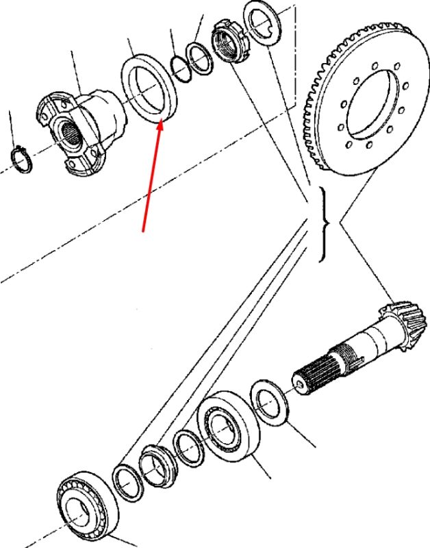 Carraro 119990 Cальник 65x92x14