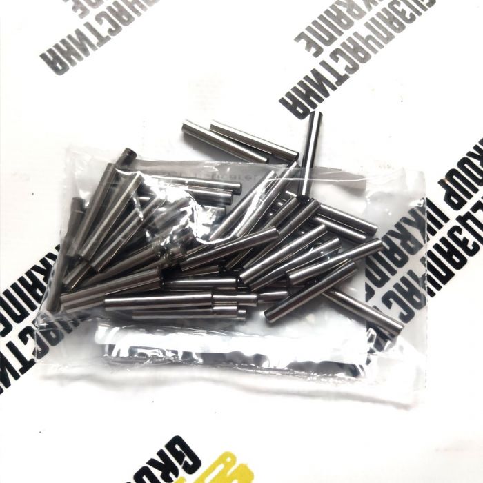 028299 (CA0028299, 11988586, 6914501) Иглы подшипника Carraro, 1 шт