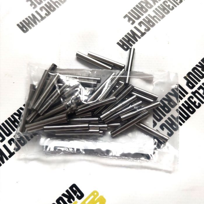 028299 (CA0028299, 11988586, 6914501) Иглы подшипника Carraro, 1 шт
