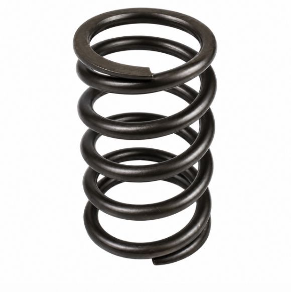 Parker R150772 Пружина блоку циліндрів для P2105 SKS