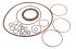 Bosch Rexroth R902416674, R902416675 Ремкомплект гідронасосу для серії A4VSO355 SKS