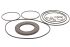 Bosch Rexroth R987053936 Ремкомплект гідронасосу для серії A4VG250 SKS